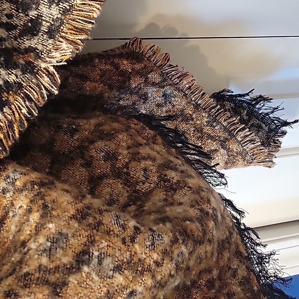 Leopard Print Poncho with Black Fringe - Picture 5 of 7
